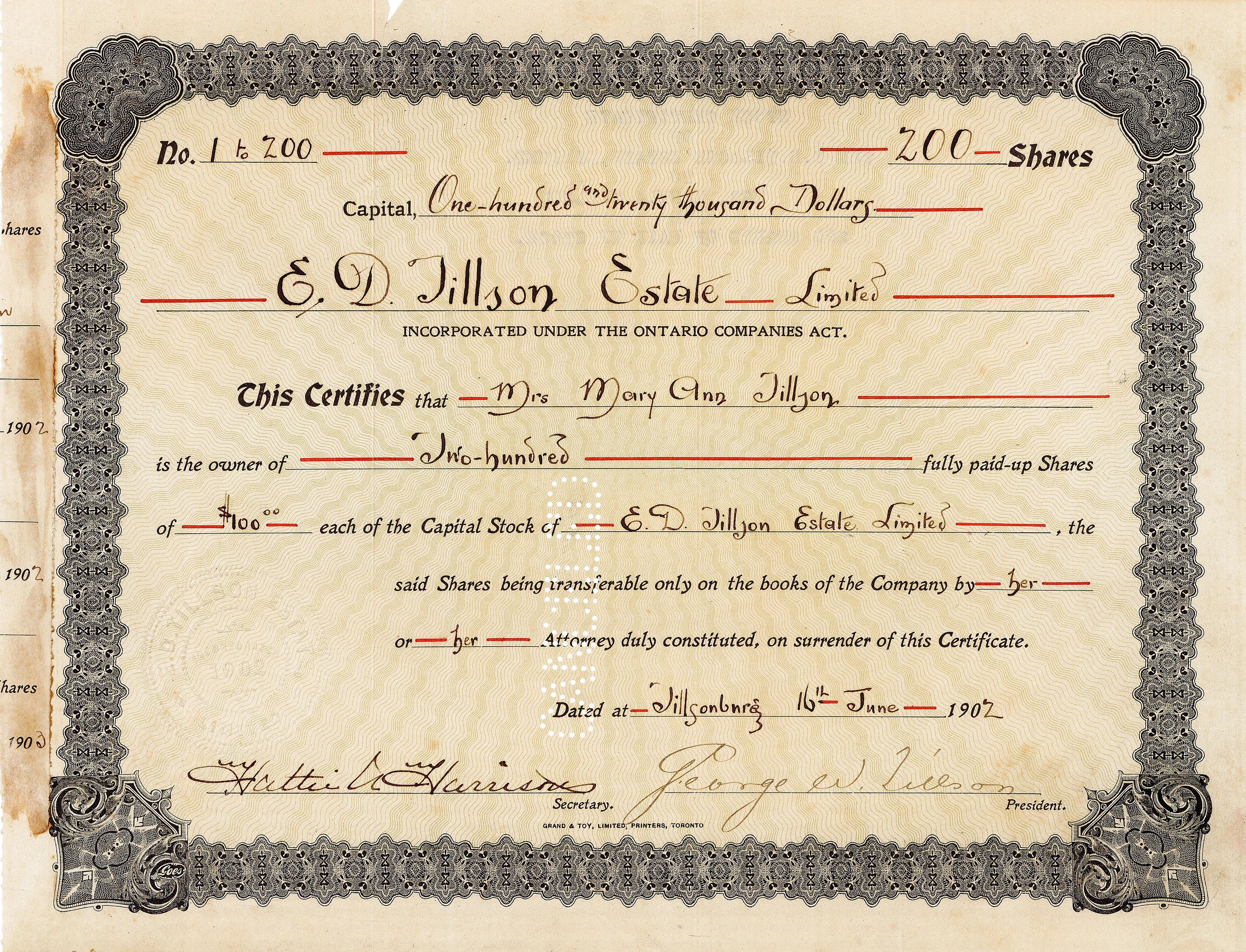 A document certifying that Mary Ann Tillson owns 200 shares of the Capital Stock of  E.D. Tillson Estate Limited. Shares are $100.00 each. Date 16 June, 1902. Document has an ornate black border.