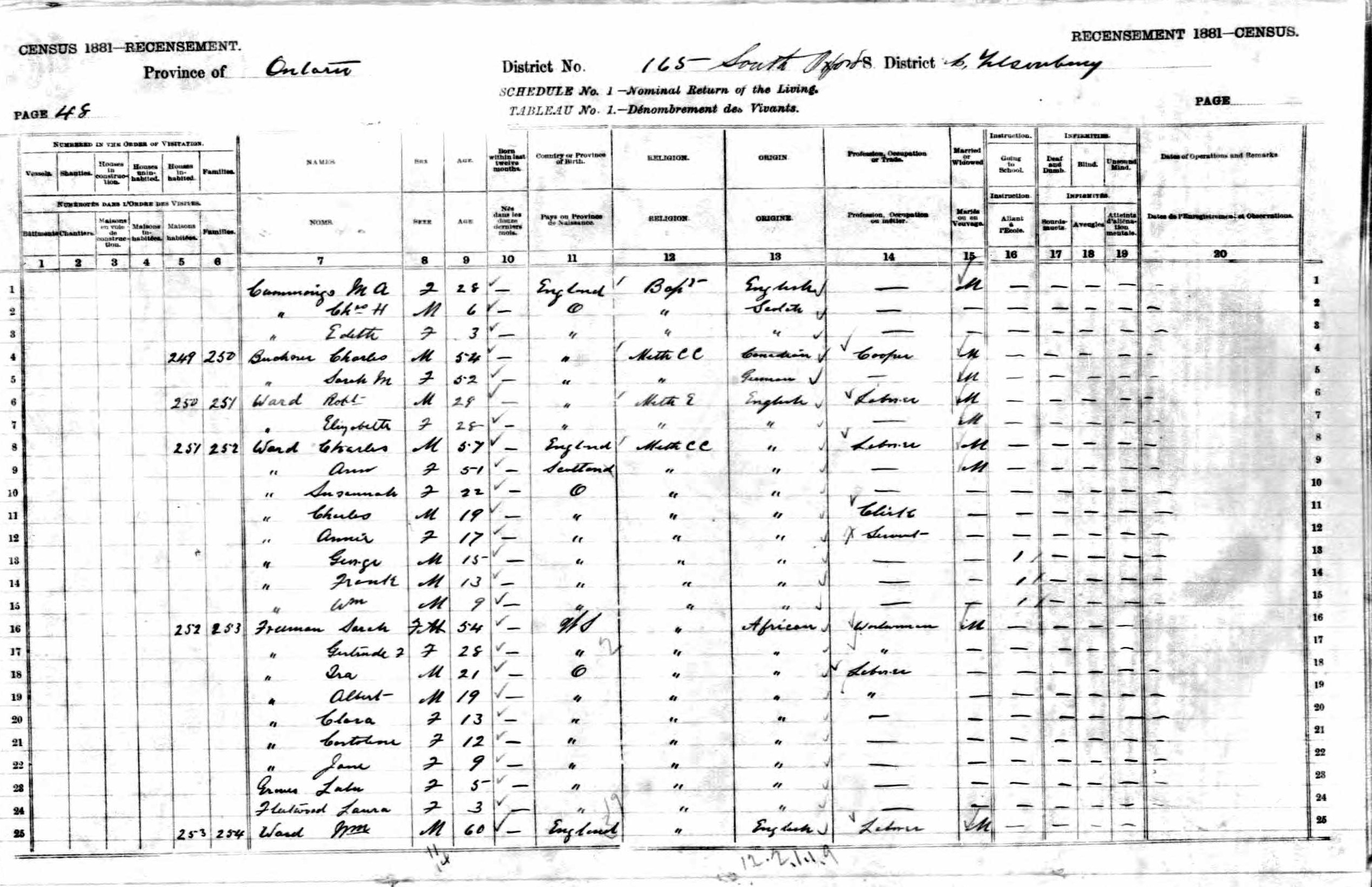 A page from the 1881 census for Tillsonburg, includes Albert Freeman, age 19.